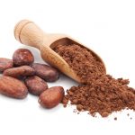 Biologische Cacao Poeder