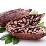Biologische Cacaobonen