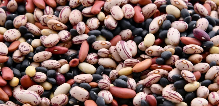 beans beans